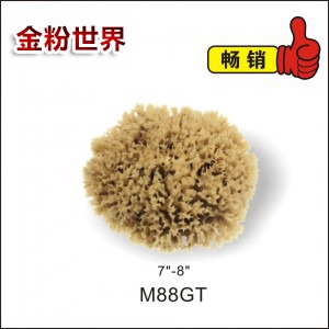 天然海藻棉