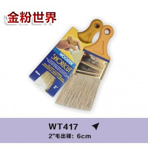 WT417